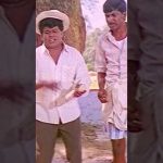 அவ வாய்ய தொறந்தா மூடவே மாட்டாலே | Rajapandi | Sarath Kumar | Sukanya | Vadivelu