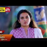 Anbe Vaa – Promo | 24 April 2024  | Tamil Serial | Sun TV