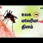 உலக மலேரியா தினம் | World Malaria day 2024 | Dhinam Oru Thagaval | Vasanth TV