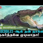 Crocodiles-ஆல் தன் நாக்கை நகர்த்தவே முடியாதா! | Therinthu Kolvom | Vasanth TV