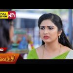 Sevvanthi – Promo | 04 May 2024  | Tamil Serial | Sun TV