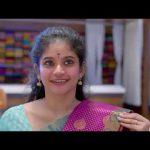 ஏதோ பெரிய Twist இருக்கும் போலயே | Veera | Full Ep 29 | Zee Tamil