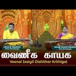 Vainika Gayika | Veenai Isaiyil Dikshithar Krithigal | Episode – 24 #spiritualmusic