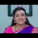 Karthigai Deepam – Full Ep – 453 – Karthikeyan, Deepa, Abirami – Zee Tamil