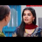 நீங்க நல்லா ஏத்தி விடுறீங்க ராகிணி..😡 | Mahanadhi | Episode Preview | 01 July