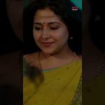 Chinmayi Latest Tamil Melody | Yaazhisaiye  Song | Aalan