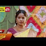 Sundari – Promo | 20 Sep 2024 | Tamil Serial | Sun TV