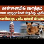 City-Wide Dog Census in Chennai | Gcc’s Recent Survey | Chennai Dogs | Sun News