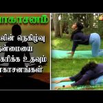 உடலின் நெகிழ்வு தன்மையை அதிகரிக்க உதவும் யோகாசனங்கள் | Dhinam Oru Yoga | Vasanth TV