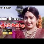 கொஞ்சும் கிளிக்கு HD | Konjum Kilikku | Gangai Amaran | Mahanadhi Shobana | Love Hit Song