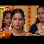 Sundari – Promo | 24 Sep 2024 | Tamil Serial | Sun TV