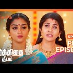 உண்மை தெரியாம பேசுறாங்களே மைதிலி – Karthigai Deepam – Full Ep – 584 – Zee Tamil