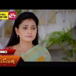 Mr.Manaivi – Promo | 28 Sep 2024 | Tamil Serial | Sun TV