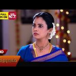 Anandha Ragam – Promo | 01 Oct2024 | Tamil Serial | Sun TV