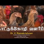 🔴LIVE | நாட்டுக்கோழி வளர்ப்பு | VELAAN KALAM | 04.10.2024