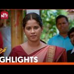 Sundari – Highlights |04 Oct2024 | Tamil Serial | Sun TV