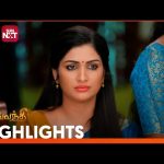 Sevvanthi – Highlights |04 Oct2024 | Tamil Serial | Sun TV