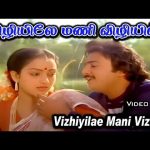 விழியிலே மணி விழியில் மௌன மொழி பேசும் அன்னம் | Vizhiyile Mani | Love HD Song | S. P. B, S. Janaki