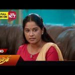 Sundari – Promo | 18 Oct 2024 | Tamil Serial | Sun TV