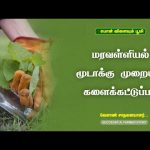 மரவள்ளியல் மூடாக்கு முறையில் களைக்கட்டுப்பாடு | Successful Farmer