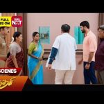 Sundari – Best Scenes | 18 Oct 2024 | Tamil Serial | Sun TV