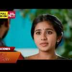 Singappenne – Best Scenes | 18 Oct 2024 | Tamil Serial | Sun TV