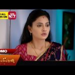 Mr.Manaivi – Promo | 22 Oct 2024 | Tamil Serial | Sun TV