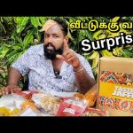 யார் அனுப்பிய பார்சல் இது?😲 Unboxing Taste of Jaffna Parcel | Alasteen Rock