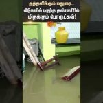 Madurai Rains | Flood | Home | People | Rain Alerts | Sun News