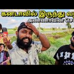 வெளிநாட்டு மக்களே அவதானம்!😞 ஏமாற வேண்டாம் Jaffna Tamil Vlogs | Alasteen Rock