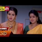 Kayal – Best Scenes | 26 Oct 2024 | Tamil Serial | Sun TV