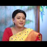 Baakiyalakshmi | பாக்கியலட்சுமி | Full Episode 295