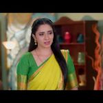 Karthigai Deepam – Full Ep – 619 – Karthikeyan, Deepa, Abirami – Zee Tamil