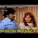 நினைத்தாலே இனிக்கும் சுகமே | Ninaithale Inikkum Sugame | Melody HD Song | L. R. Eswari | MSV