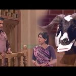 Indha Aaddu 🐐 dhaan sachi -ah 😱😨😳| Aatukara Alamelu | Siva Kumar  | Sri Priya | Nagesh #rajshritamil