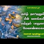 தமிழ் நாட்டிலுள்ள மீன் வளங்கள் மற்றும் பாதுகாப்பு மேலாண்மைகள் | Agricultural Technology