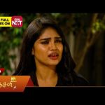 Ranjani – Promo | 13 Nov 2024 | Tamil Serial | Sun TV