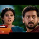 Singappenne – Full Episode | EP –  317 | 16 Oct 2024 | Tamil Serial | Sun TV