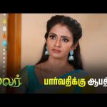 பார்வதியை என்ன பண்ண போறாங்களோ? | Malar – Semma Scenes | 15 Nov 2024 | Tamil Serial | Sun TV