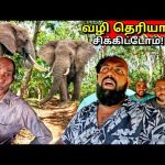 அடக்கடவுளே!😱 பொத்துவில் நோக்கி அக்கரைப்பற்றில் இருந்து Tamil Vlogs | Alasteen Rock