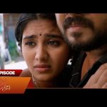 Singappenne – Full Episode | EP –  318 | 17 Oct 2024 | Tamil Serial | Sun TV