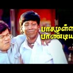 இப்படி ஏமாத்திட்டு போய்ட்டாளே | Pasamulla Pandiyare Movie Scenes | Rajkiran | Meena | Roja