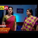 Mr.Manaivi – Best Scenes | 21 Dec 2024 | Tamil Serial | Sun TV