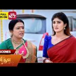 Punitha – Best Scenes | 31 Dec 2024 | Tamil Serial | Sun TV