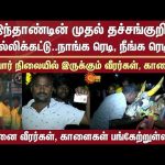 First Jallikattu – 2025 | Thatchankurichi | Pudukkottai District | Players and bulls ready |Sun News