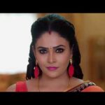 Karthigai Deepam – Full Ep – 621 – Karthikeyan, Deepa, Abirami – Zee Tamil