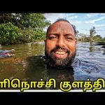 கழுத்து வரை தண்ணீர்!😱 கிளிநொச்சியின் பசுமையில் ஒரு நாள் Kilinochchi Village Life | Alasteen Rock