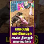 சீறிவரும் காளை😍 #jallikattu #jallikattukaalai #palamedujallikattu