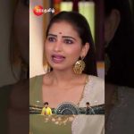 Karthigai Deepam (கார்த்திகை தீபம்) | EPI-709 | Mon-Sat, 9 PM | Zee Tamil #shorts #ytshorts