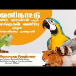 வெளிநாட்டு செல்லப் பறவைகள் & விலங்குகள் வளர்ப்பு & மேலாண்மை முறைகள் | Velaan Kalam | 10 Jan 2025